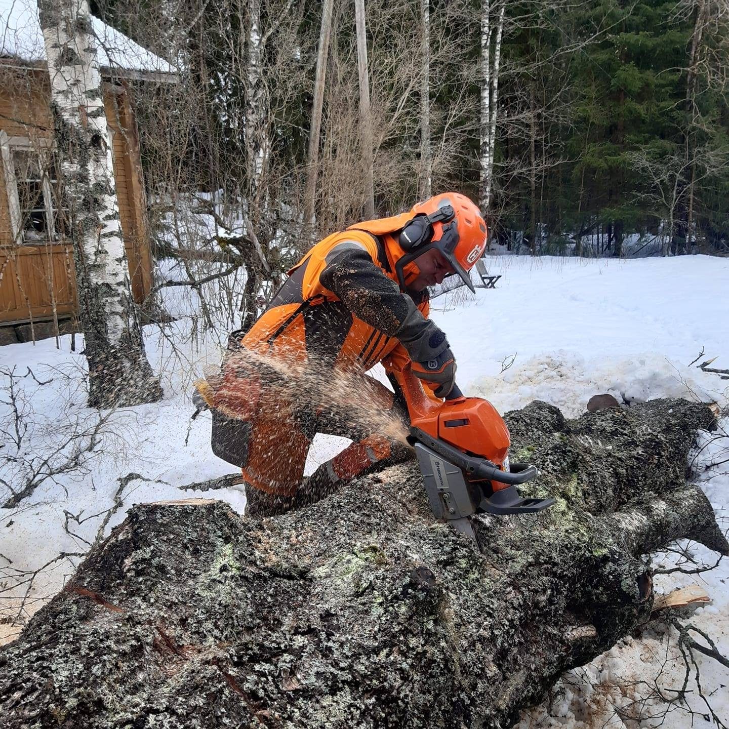 omakuva_puunkatkaisu