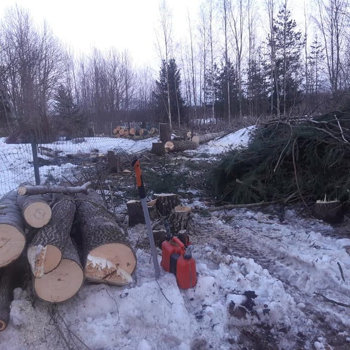 pihapuukaatoa_ja_risuja