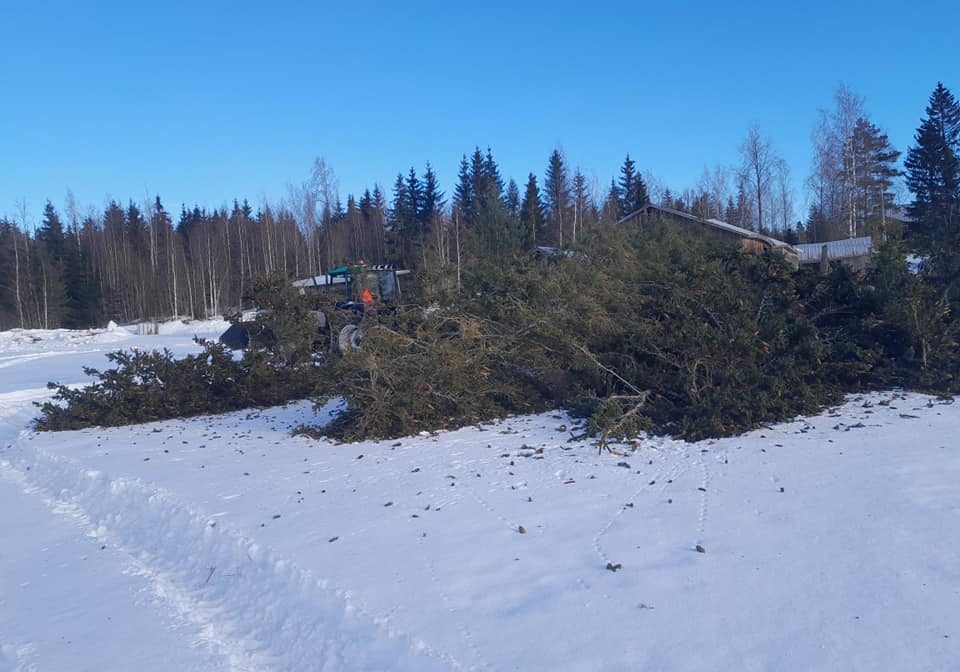 puut_kaadettuna_pihasta_pellolle